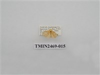 藏品(梯紋豔苔蛾)的圖片